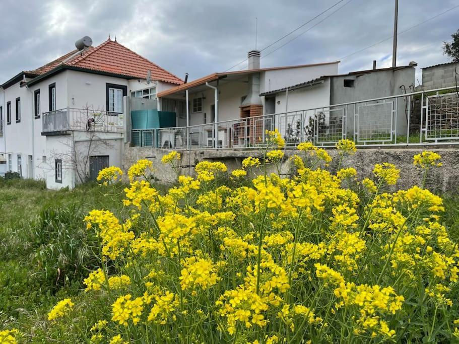 Casa Da Celeste Maljoga de Proenca Kültér fotó