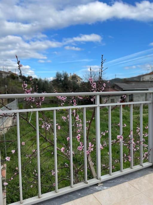 Casa Da Celeste Maljoga de Proenca Kültér fotó