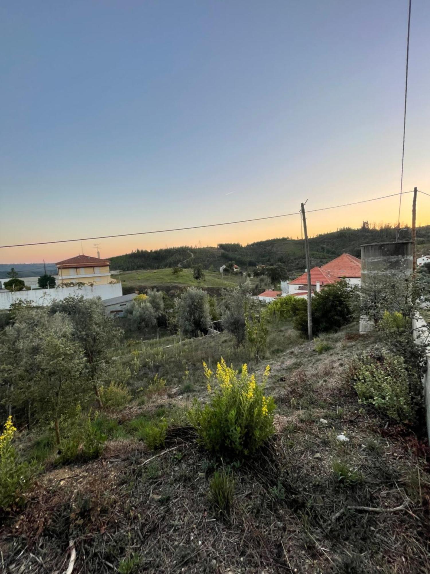 Casa Da Celeste Maljoga de Proenca Kültér fotó
